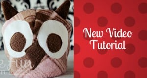 Owl video wp featured