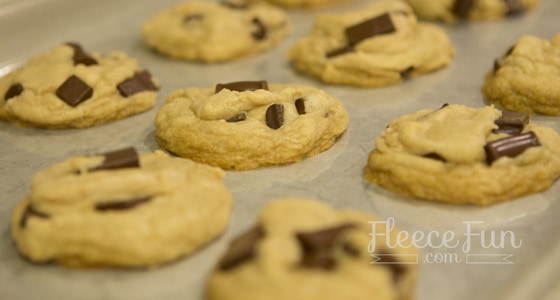 Foodie Friday: Chocolate Chip Cookies (milk and egg free)