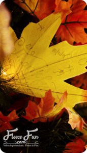 leaf