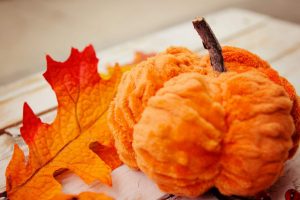 scrunched-pumpkin-tutorial