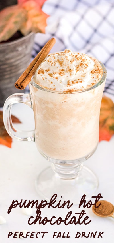 This Pumpkin Hot Chocolate recipe is the perfect addition to a cool autumn evening. Easy to make! just dump all the ingredients into a crock pot!