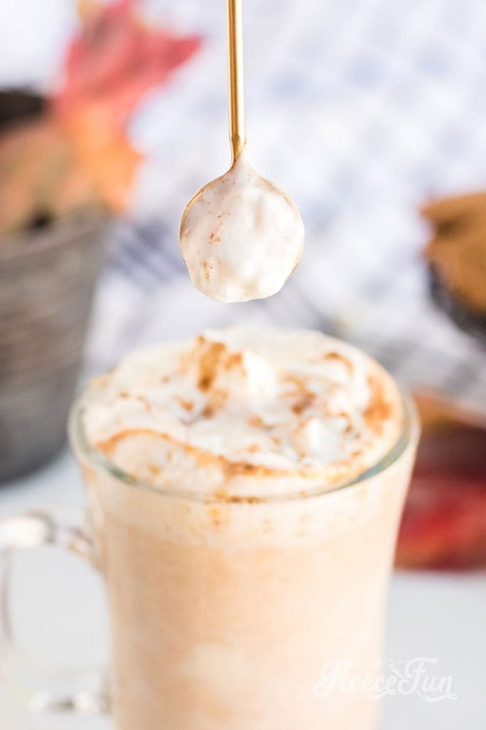 This Pumpkin Hot Chocolate recipe is the perfect addition to a cool autumn evening. Easy to make! just dump all the ingredients into a crock pot!