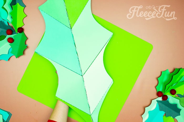 back of the leaf