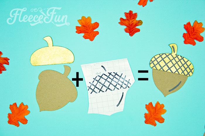 This is what makes a complete acorn.