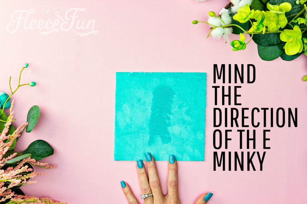Picture with the words "mind the direction of the minky" on it.