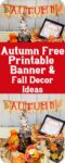 Pinterest Hidden Image