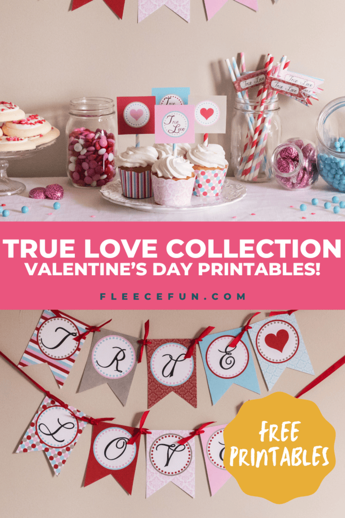 Valentine's Day party setup featuring decorations made with fleecefun's free templates and tutorial.
