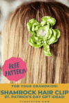 Pinterest Hidden Image