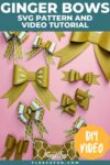 Pinterest Hidden Image